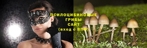 тгк Бугульма