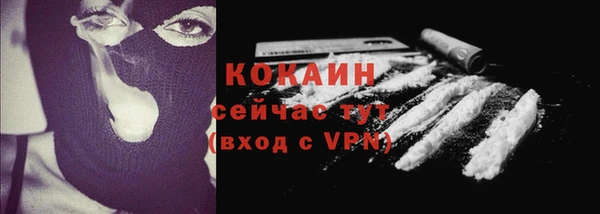 ПСИЛОЦИБИНОВЫЕ ГРИБЫ Верхний Тагил