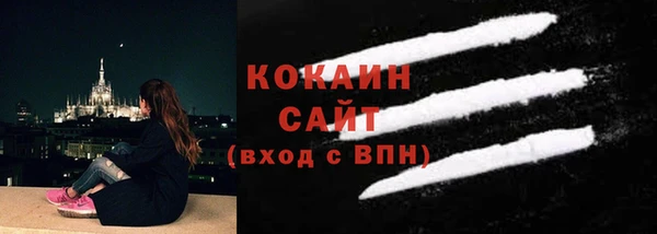 гидра Богородицк
