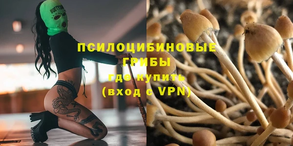 ПСИЛОЦИБИНОВЫЕ ГРИБЫ Верхний Тагил