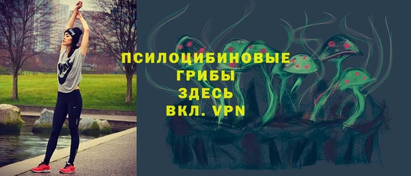 тгк Бугульма