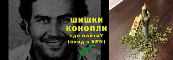 ПСИЛОЦИБИНОВЫЕ ГРИБЫ Верхний Тагил