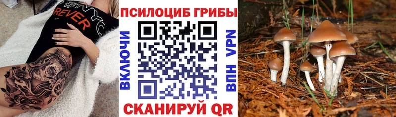 Галлюциногенные грибы прущие грибы  ссылка на мегу ТОР  Катав-Ивановск 